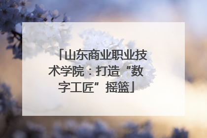 山东商业职业技术学院：打造“数字工匠”摇篮