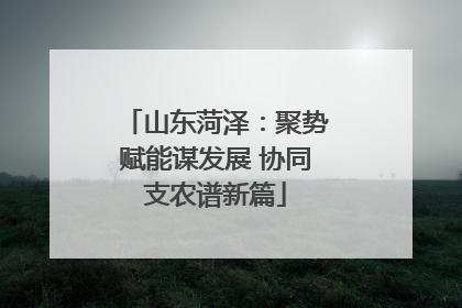 山东菏泽：聚势赋能谋发展 协同支农谱新篇