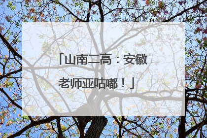 山南二高：安徽老师亚咕嘟！
