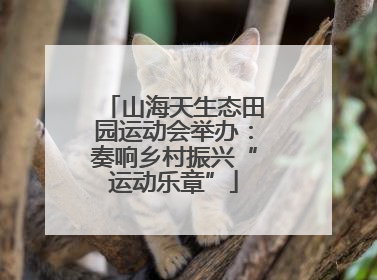 山海天生态田园运动会举办：奏响乡村振兴“运动乐章”