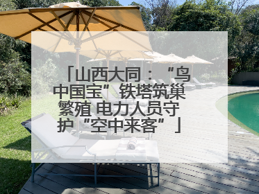 山西大同：“鸟中国宝”铁塔筑巢繁殖 电力人员守护“空中来客”
