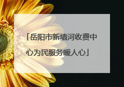 岳阳市新墙河收费中心为民服务暖人心