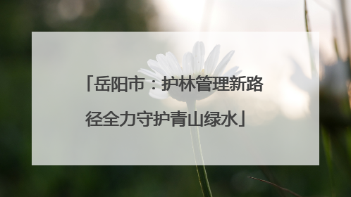 岳阳市：护林管理新路径全力守护青山绿水