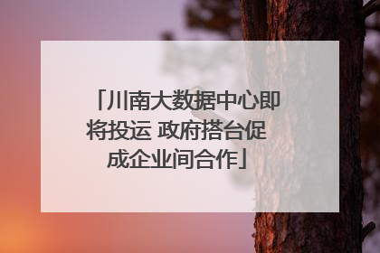川南大数据中心即将投运 政府搭台促成企业间合作