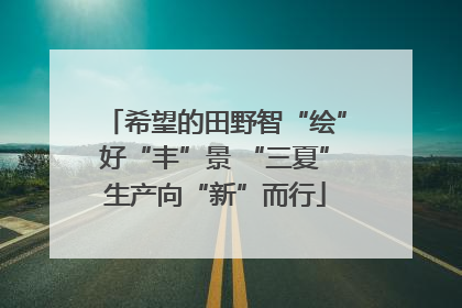 希望的田野智“绘”好“丰”景 “三夏”生产向“新”而行