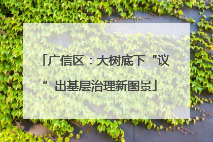 广信区：大树底下“议”出基层治理新图景