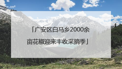 广安区白马乡2000余亩花椒迎来丰收采摘季