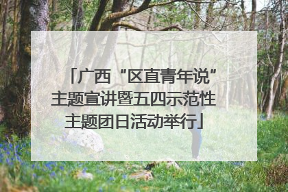 广西“区直青年说”主题宣讲暨五四示范性主题团日活动举行