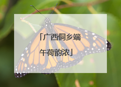 广西侗乡端午荷韵浓