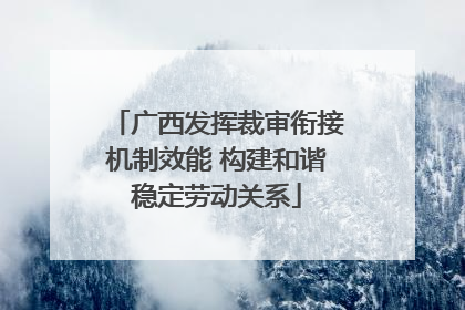 广西发挥裁审衔接机制效能 构建和谐稳定劳动关系