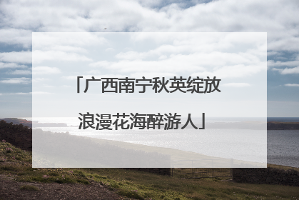 广西南宁秋英绽放 浪漫花海醉游人