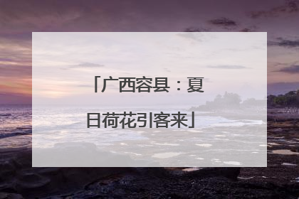 广西容县：夏日荷花引客来