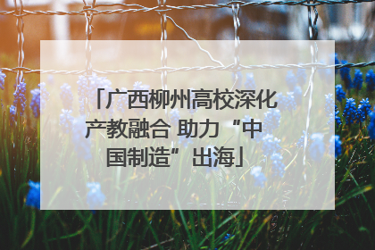 广西柳州高校深化产教融合 助力“中国制造”出海
