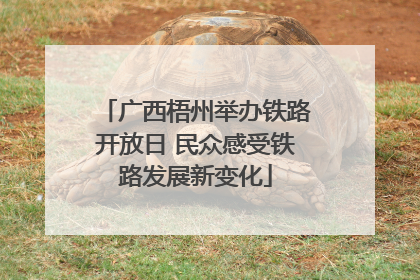 广西梧州举办铁路开放日 民众感受铁路发展新变化