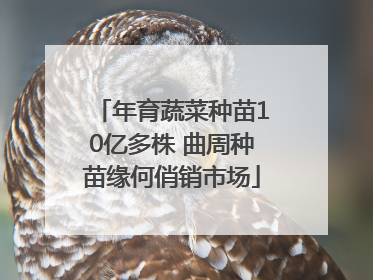 年育蔬菜种苗10亿多株 曲周种苗缘何俏销市场