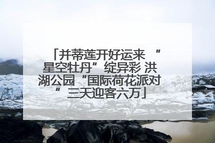 并蒂莲开好运来 “星空牡丹”绽异彩 洪湖公园“国际荷花派对”三天迎客六万