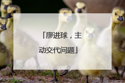 廖进球，主动交代问题