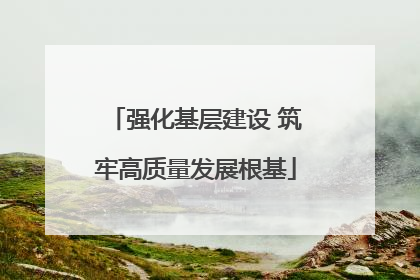强化基层建设 筑牢高质量发展根基
