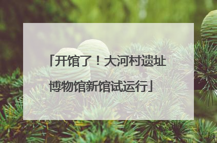 开馆了！大河村遗址博物馆新馆试运行