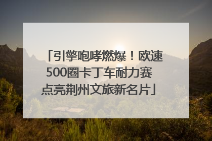 引擎咆哮燃爆！欧速500圈卡丁车耐力赛点亮荆州文旅新名片