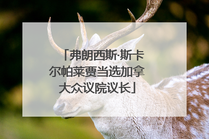 弗朗西斯·斯卡尔帕莱贾当选加拿大众议院议长