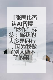 张国伟否认AI智搜“炒作”标签：骂我的大多是同行，因为我做了别人做不了的事