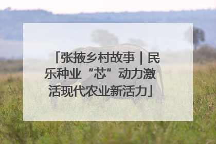张掖乡村故事｜民乐种业“芯”动力激活现代农业新活力