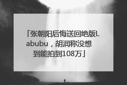 张朝阳后悔送回绝版Labubu，胡润称没想到能拍到108万