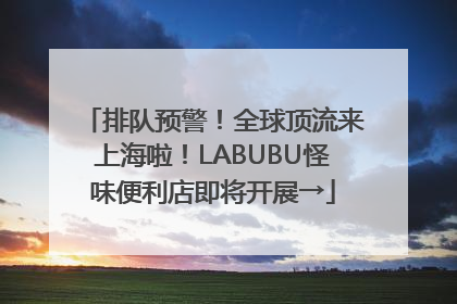 排队预警！全球顶流来上海啦！LABUBU怪味便利店即将开展→