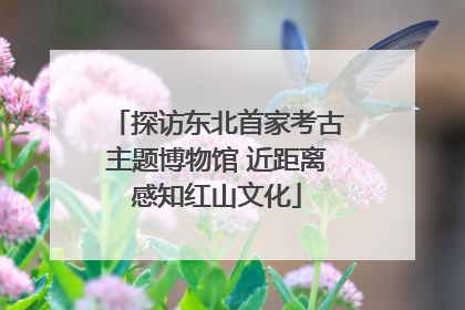 探访东北首家考古主题博物馆 近距离感知红山文化
