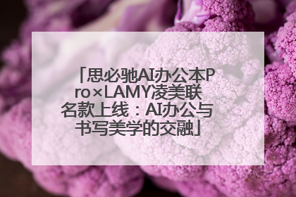 思必驰AI办公本Pro×LAMY凌美联名款上线：AI办公与书写美学的交融