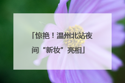 惊艳！温州北站夜间“新妆”亮相