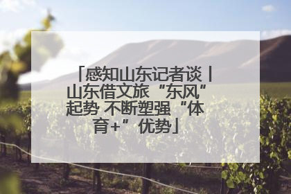 感知山东记者谈丨山东借文旅“东风”起势 不断塑强“体育+”优势