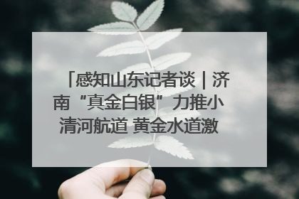 感知山东记者谈｜济南“真金白银”力推小清河航道 黄金水道激活区域经济新动能