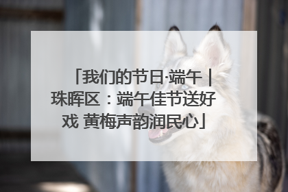 我们的节日·端午｜珠晖区：端午佳节送好戏 黄梅声韵润民心