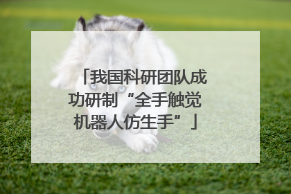 我国科研团队成功研制“全手触觉机器人仿生手”