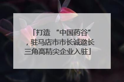 打造 “中国药谷”，驻马店市市长诚邀长三角高精尖企业入驻