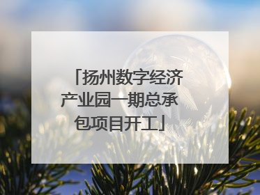 扬州数字经济产业园一期总承包项目开工
