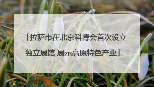 拉萨市在北京科博会首次设立独立展馆 展示高原特色产业