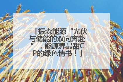 振森能源“光伏与储能的双向奔赴”，能源界最甜CP的绿色情书！