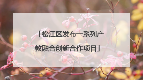 松江区发布一系列产教融合创新合作项目