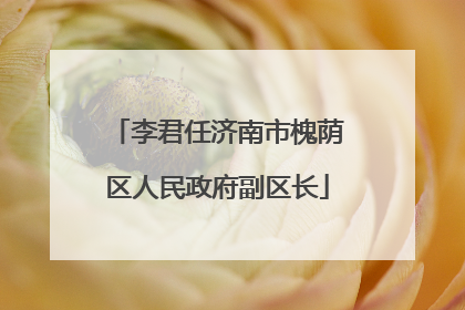 李君任济南市槐荫区人民政府副区长