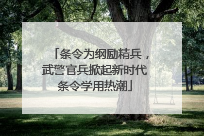 条令为纲励精兵，武警官兵掀起新时代条令学用热潮