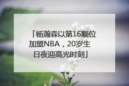杨瀚森以第16顺位加盟NBA，20岁生日夜迎高光时刻