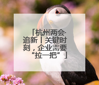 杭州两会·追新丨关键时刻，企业需要“拉一把”
