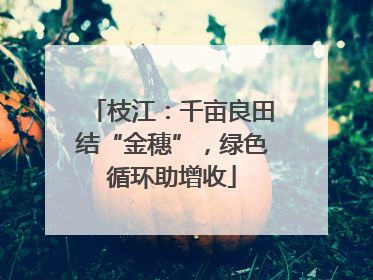 枝江：千亩良田结“金穗”，绿色循环助增收