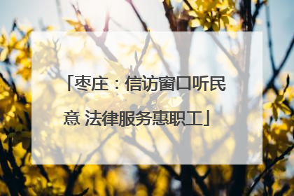 枣庄：信访窗口听民意 法律服务惠职工