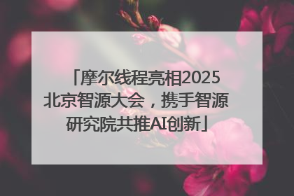 摩尔线程亮相2025北京智源大会，携手智源研究院共推AI创新