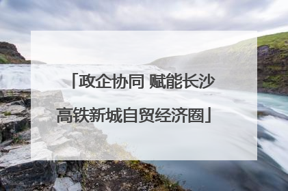 政企协同 赋能长沙高铁新城自贸经济圈