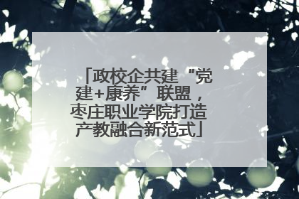 政校企共建“党建+康养”联盟，枣庄职业学院打造产教融合新范式